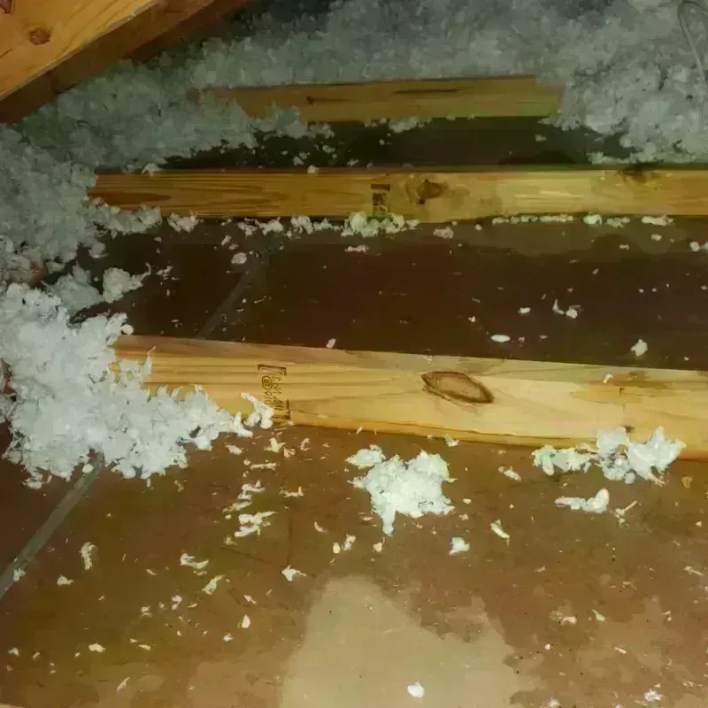 Attic Water Damage in Maize, KS